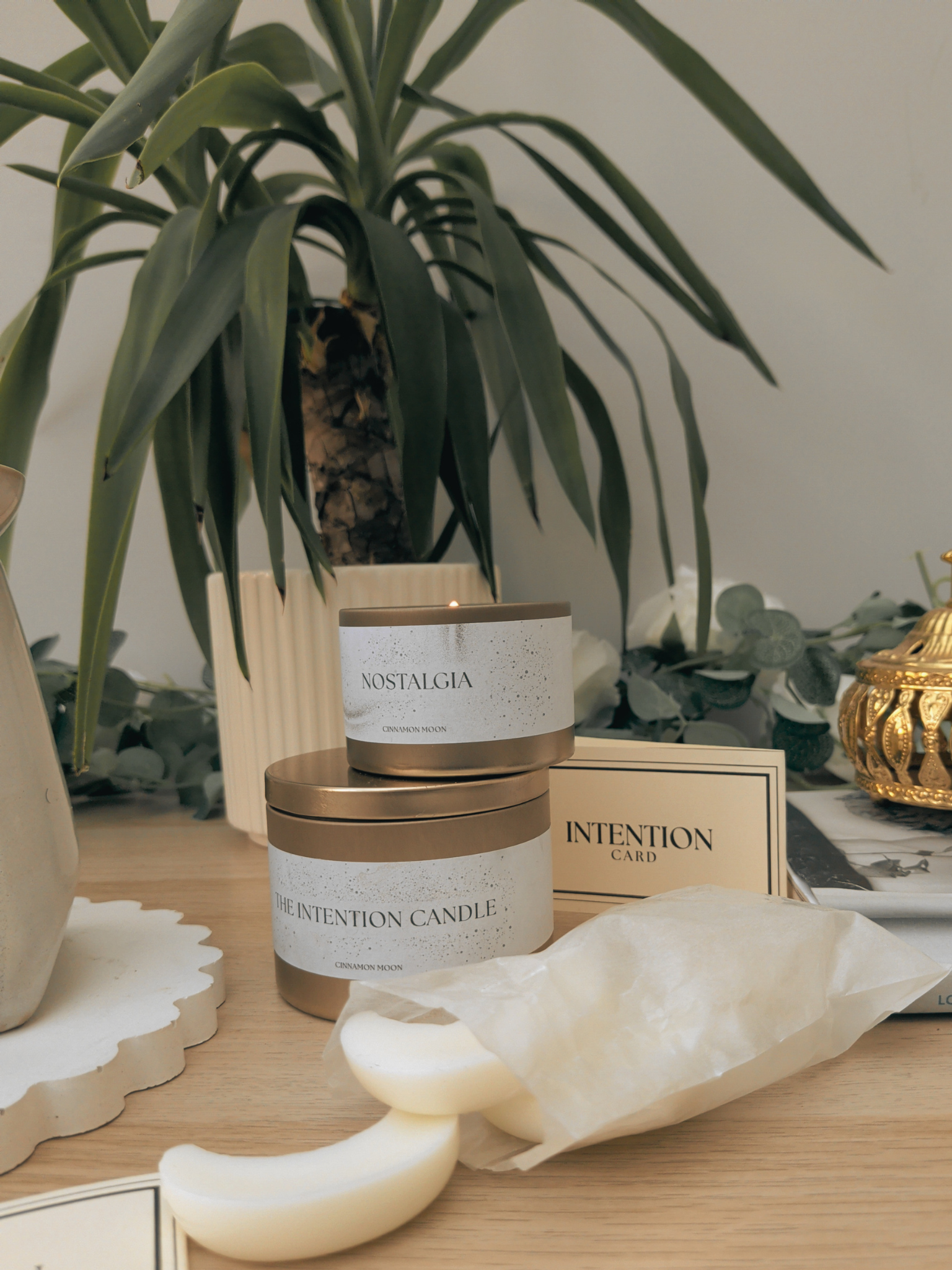 The Mini Sanctuary Bundle