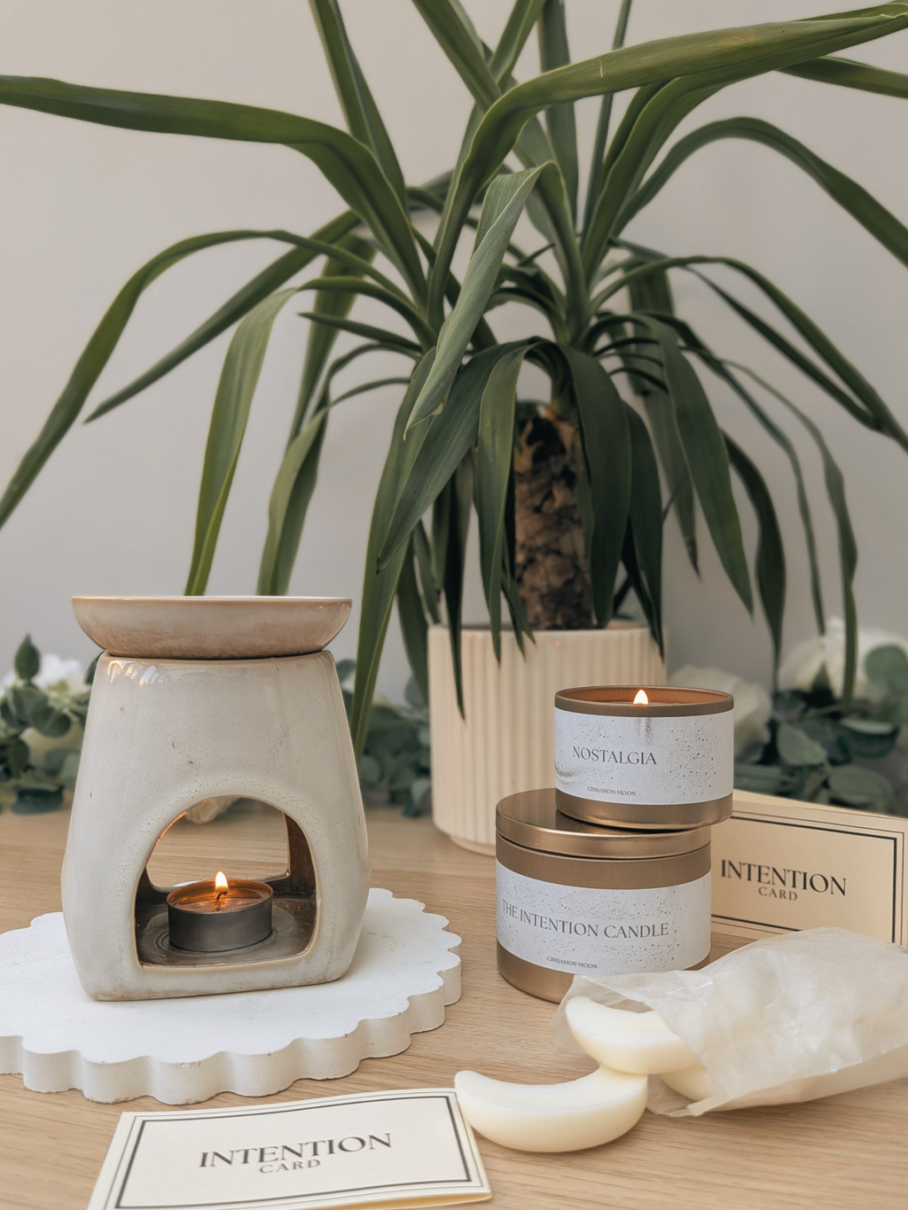 The Mini Sanctuary Bundle